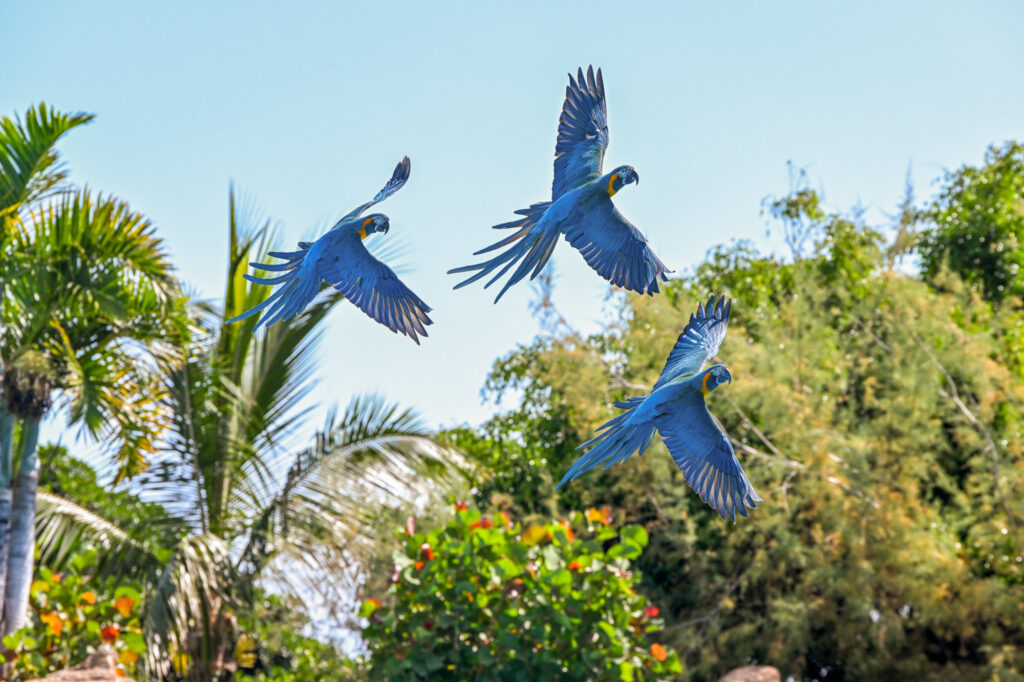 Discover the Best Tenerife Excursions: Your Ultimate Guide to Island Adventures