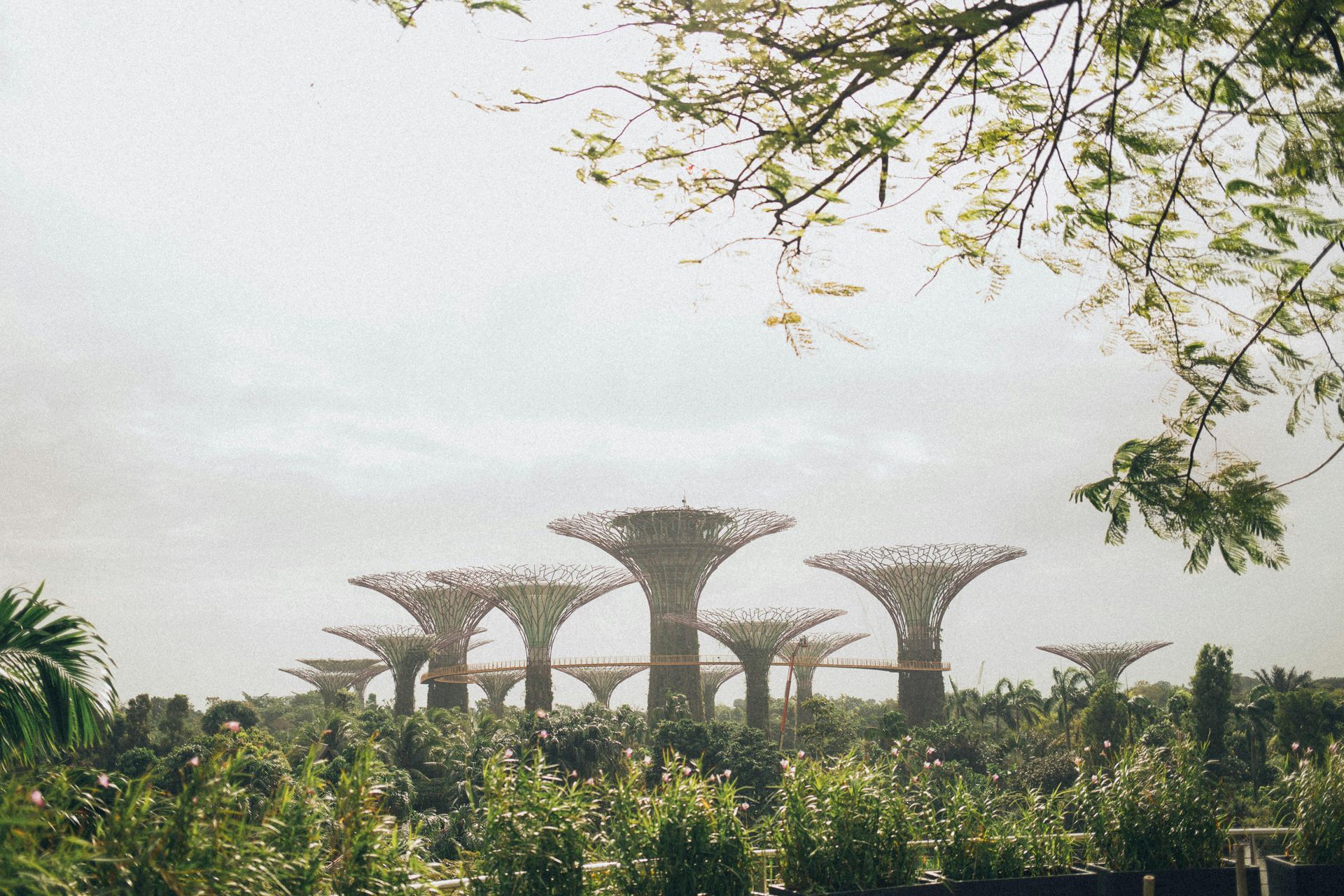 Singapore — Visa Requirements