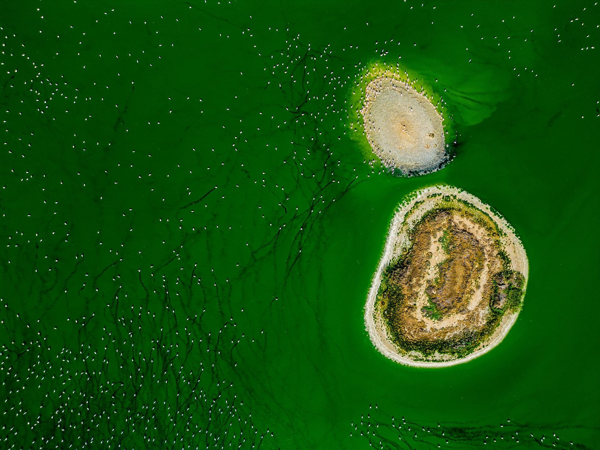 Bahrain — Top Bahrain Hot Spots