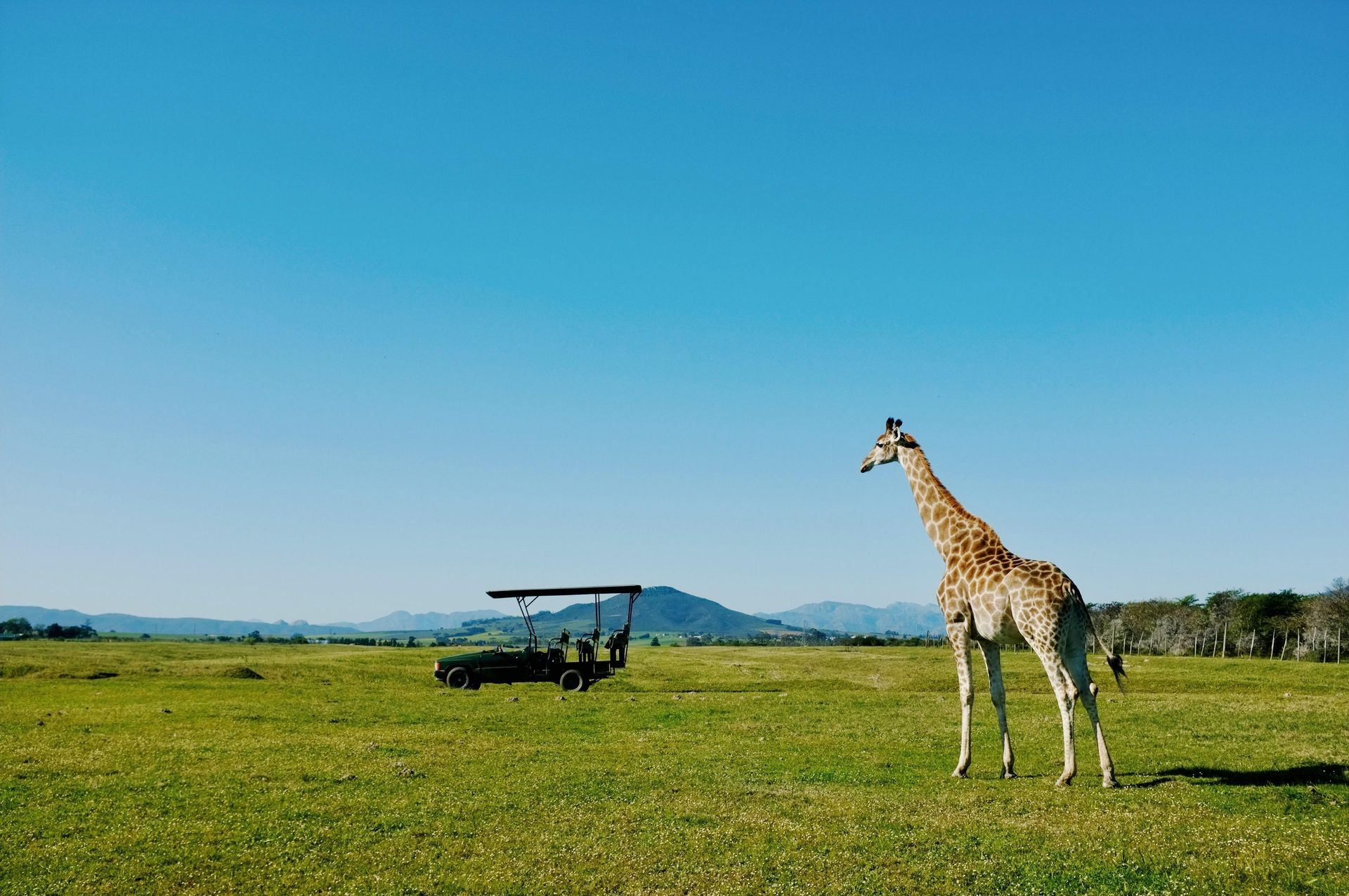 Botswana — During the Summer