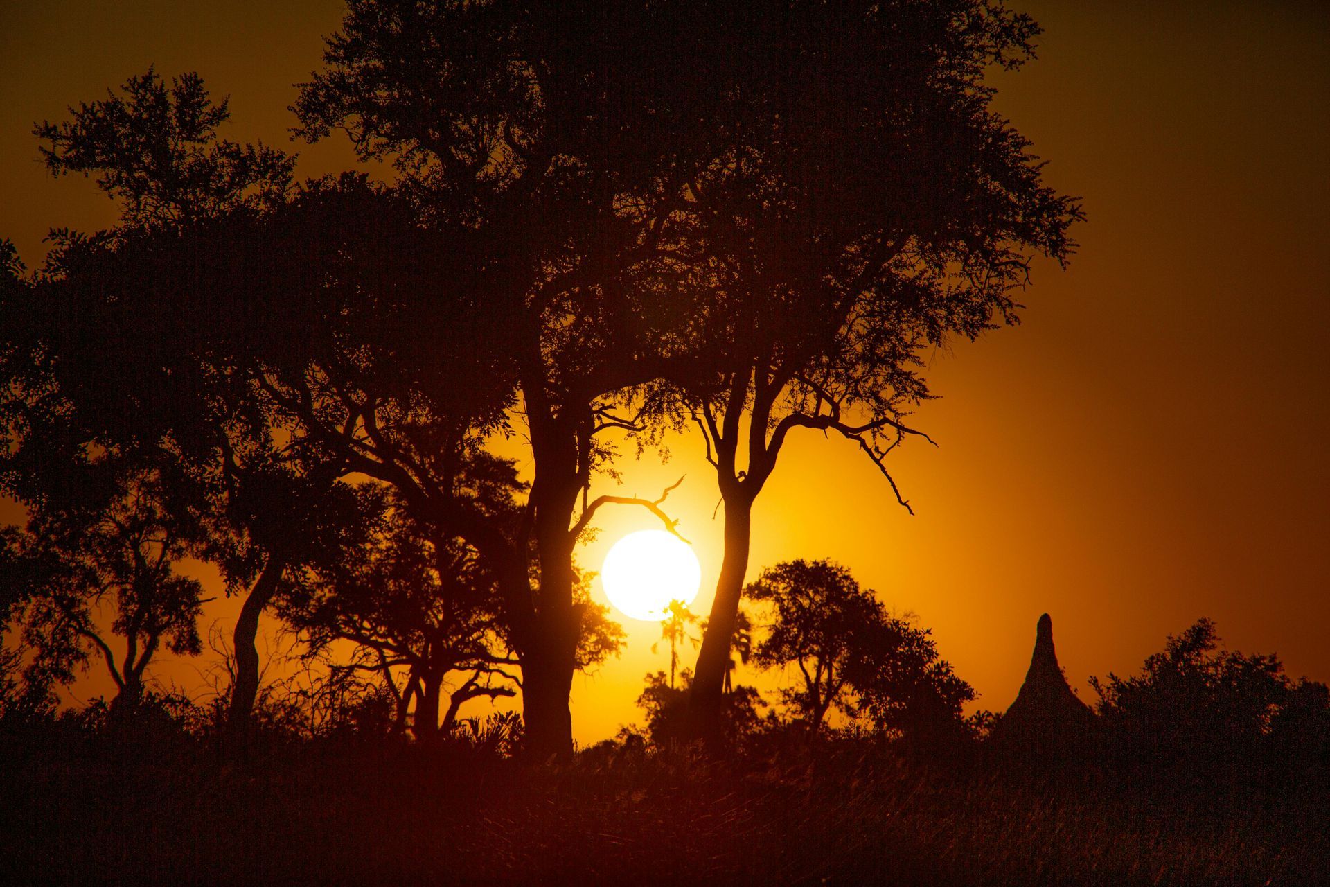 Botswana — Top Botswana Hot Spots