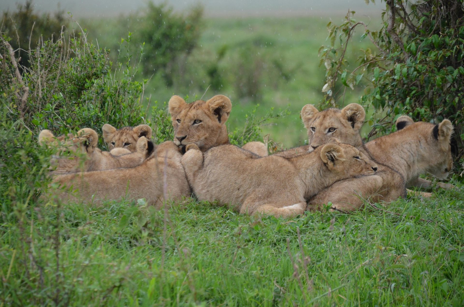 Kenya — Top Tips for Getting the Most Out of Your Holiday