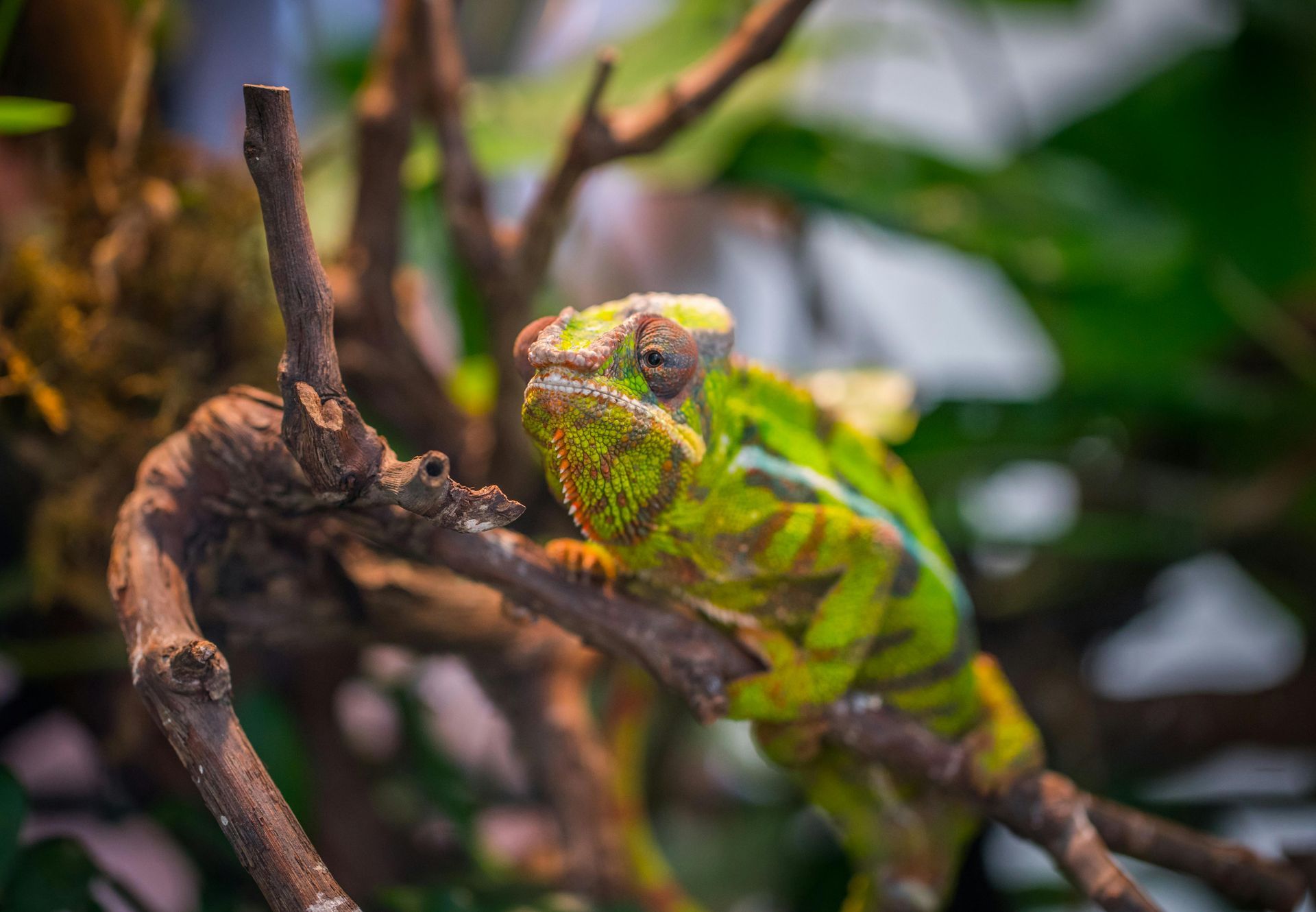 Madagascar — Top Tips for Getting the Most Out of Your Holiday