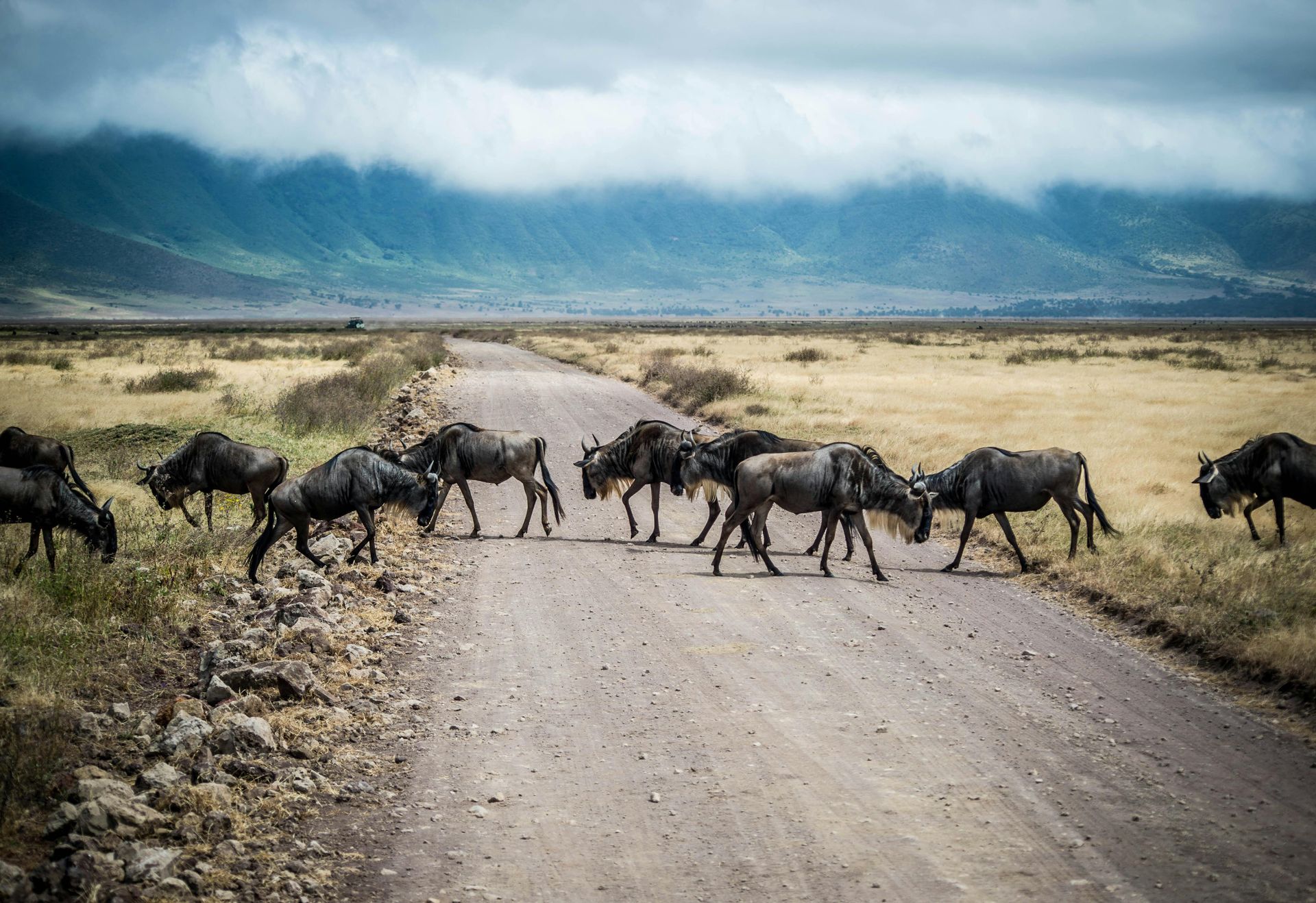Tanzania — Spoken Languages
