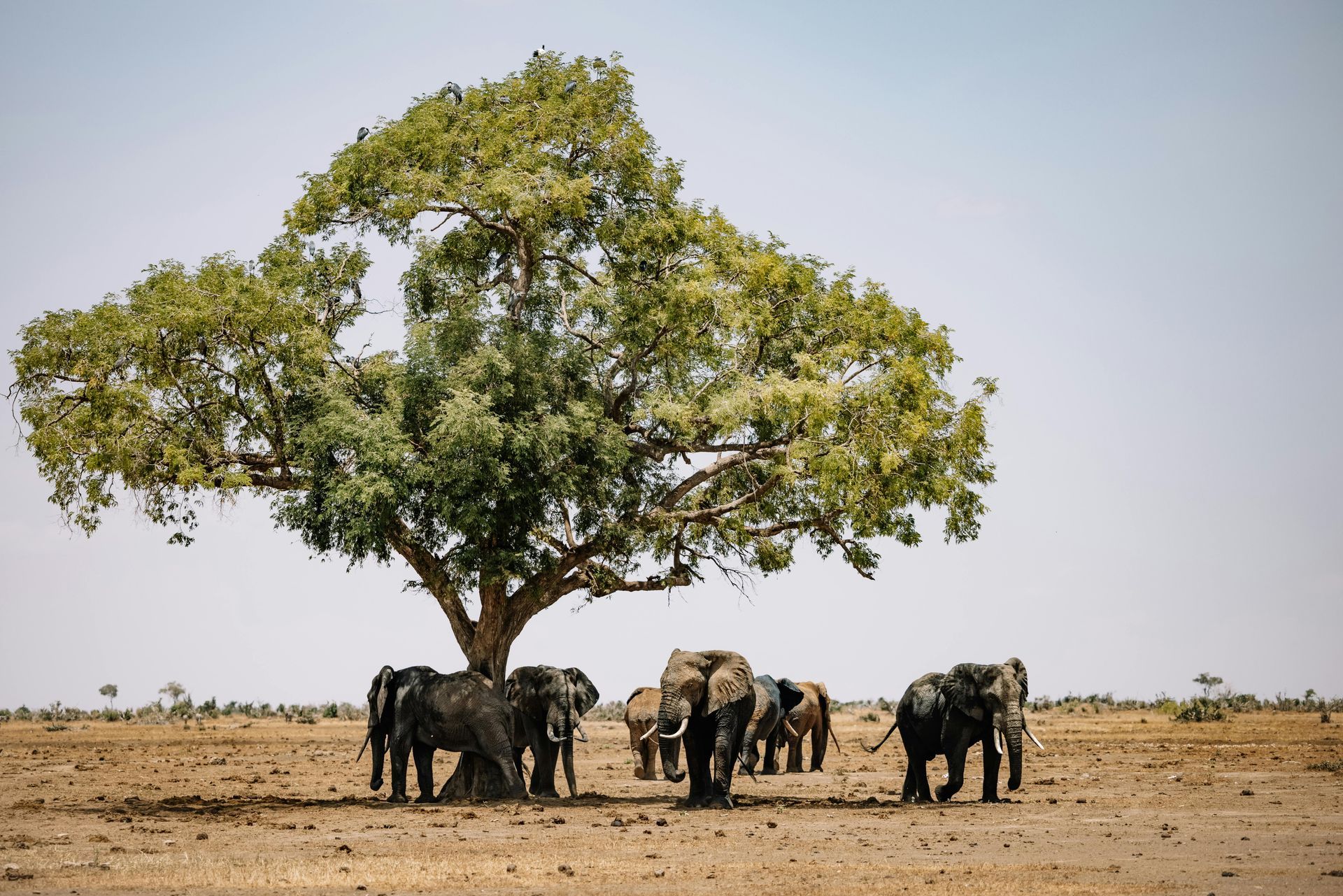 Zambia — Visa Requirements