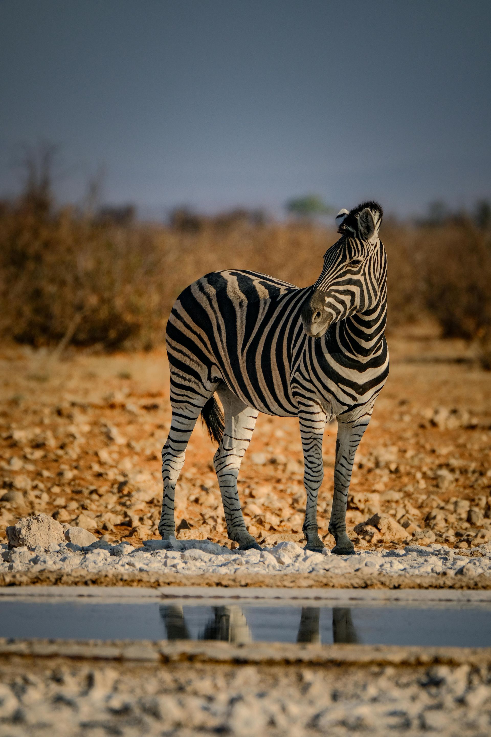 Zambia — Spoken Languages