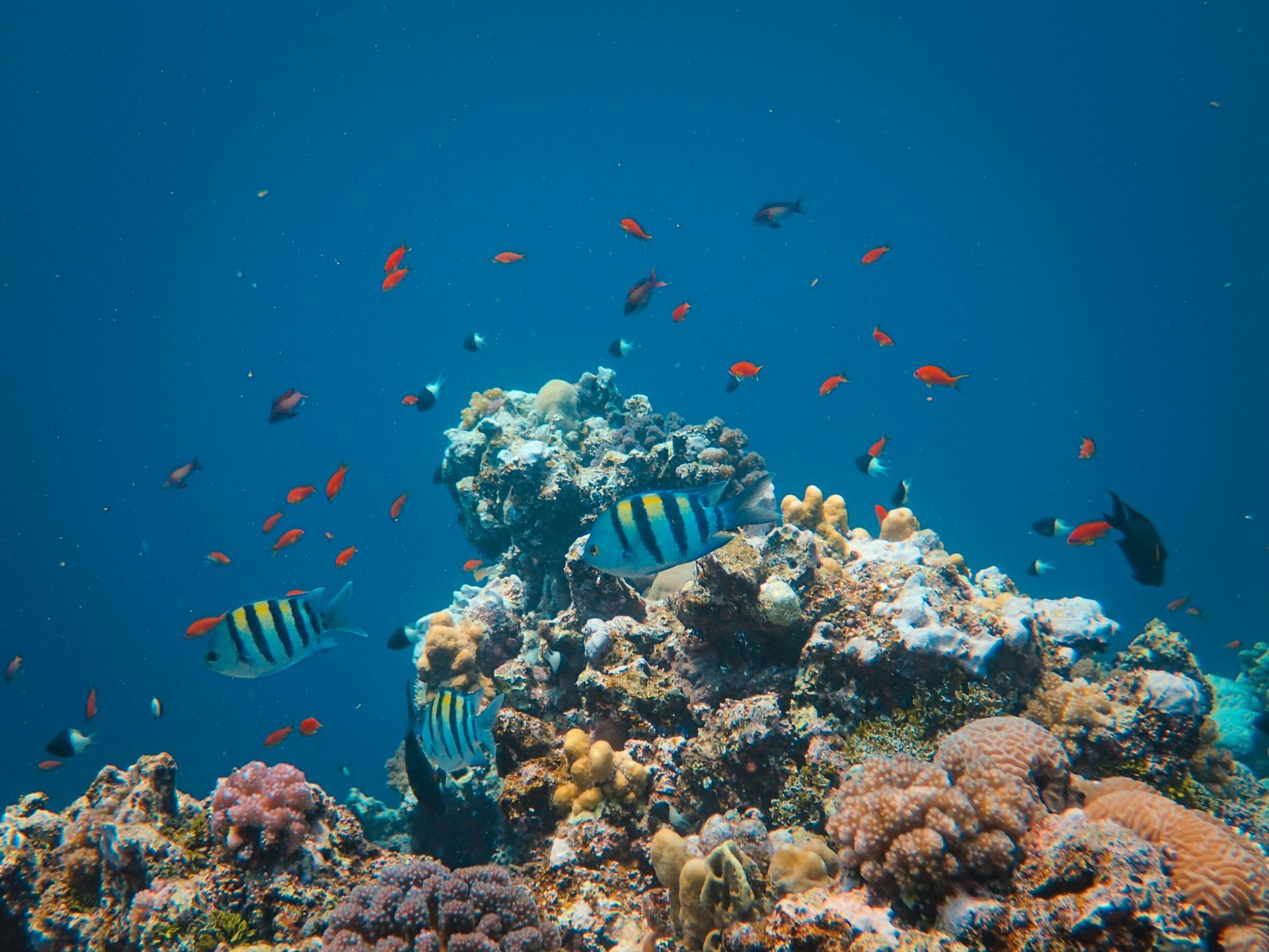 Australia — Top Tips for Getting the Most Out of Your Holiday