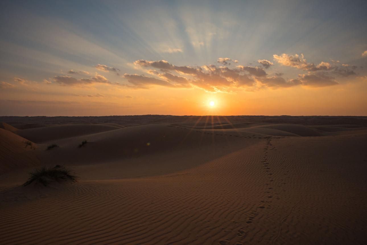 Desert & Turtles of Oman
