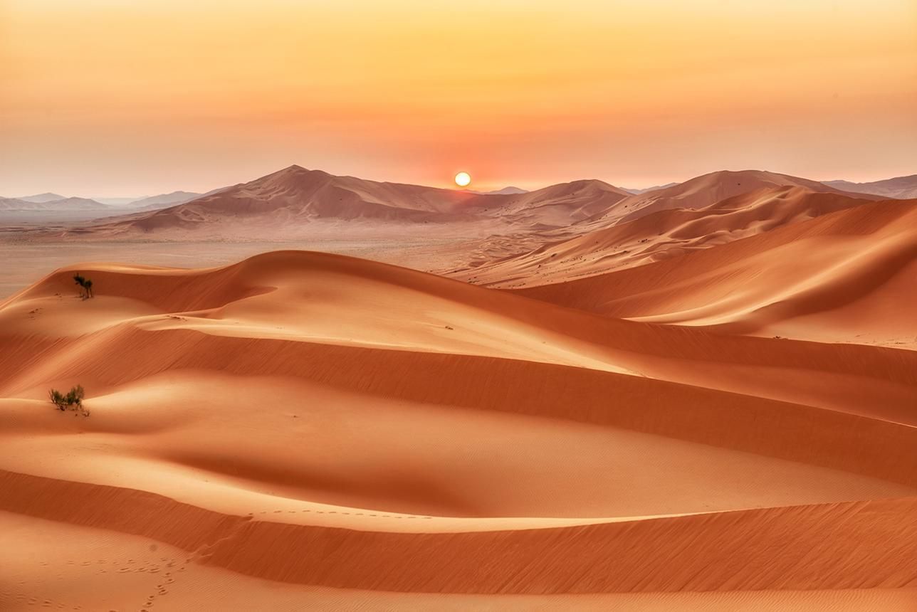 Desert & Turtles of Oman