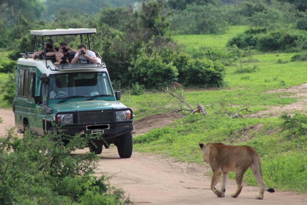 Ultimate Uganda Safari Experience