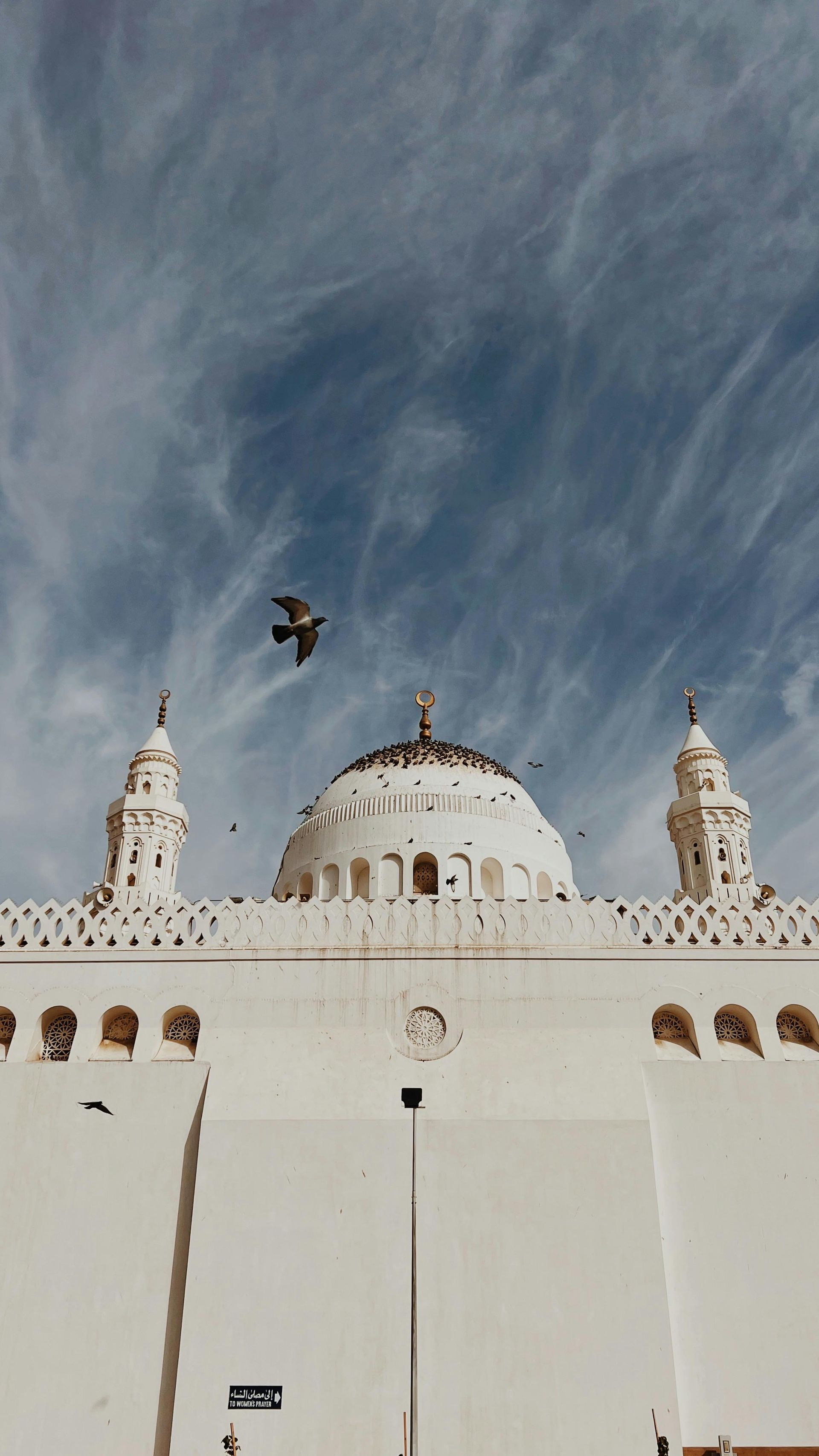 Saudi Arabia — Spoken Languages