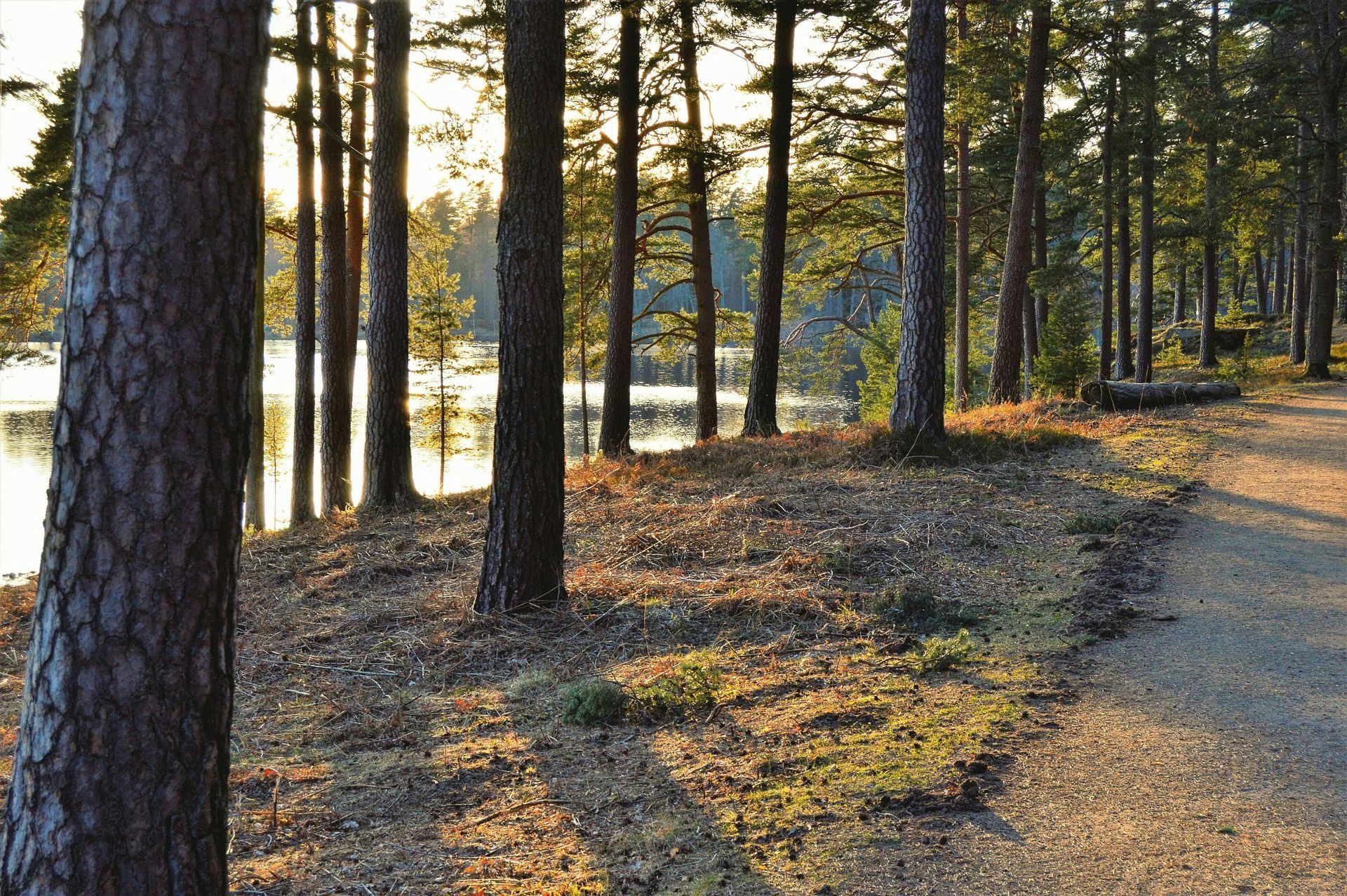 Sweden — Why You Should Go (And Go with Marhaban Travel)