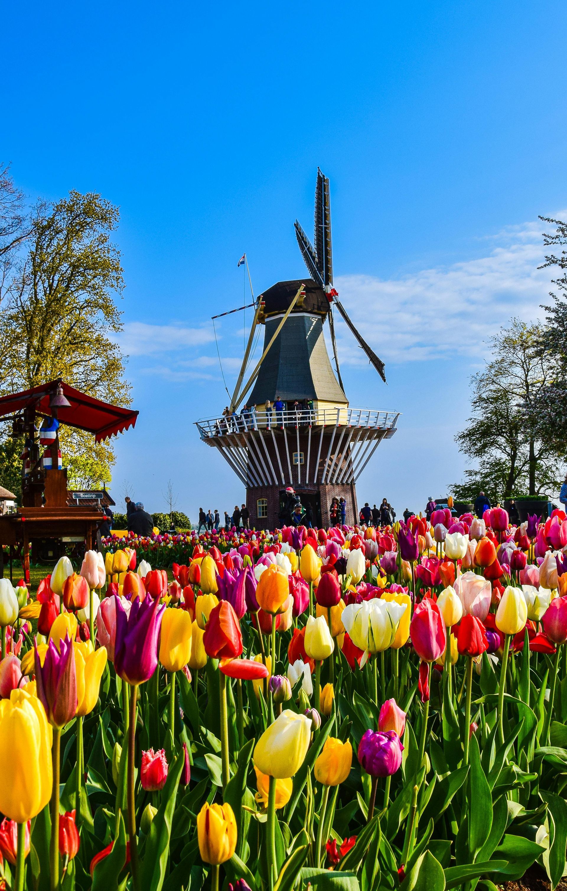 Netherlands